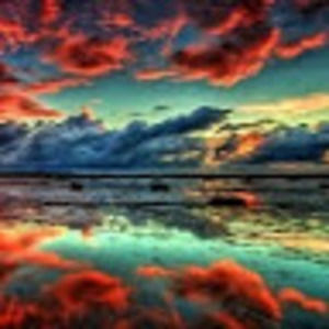 Meet your Posher, Kenzie